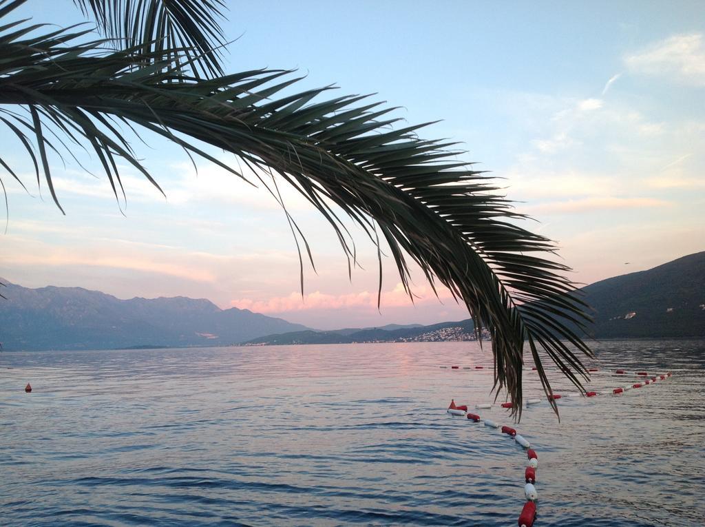 Villa Alla Bed And Breakfast Herceg Novi Eksteriør billede